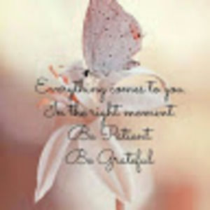 Meet your Posher, Sullivan